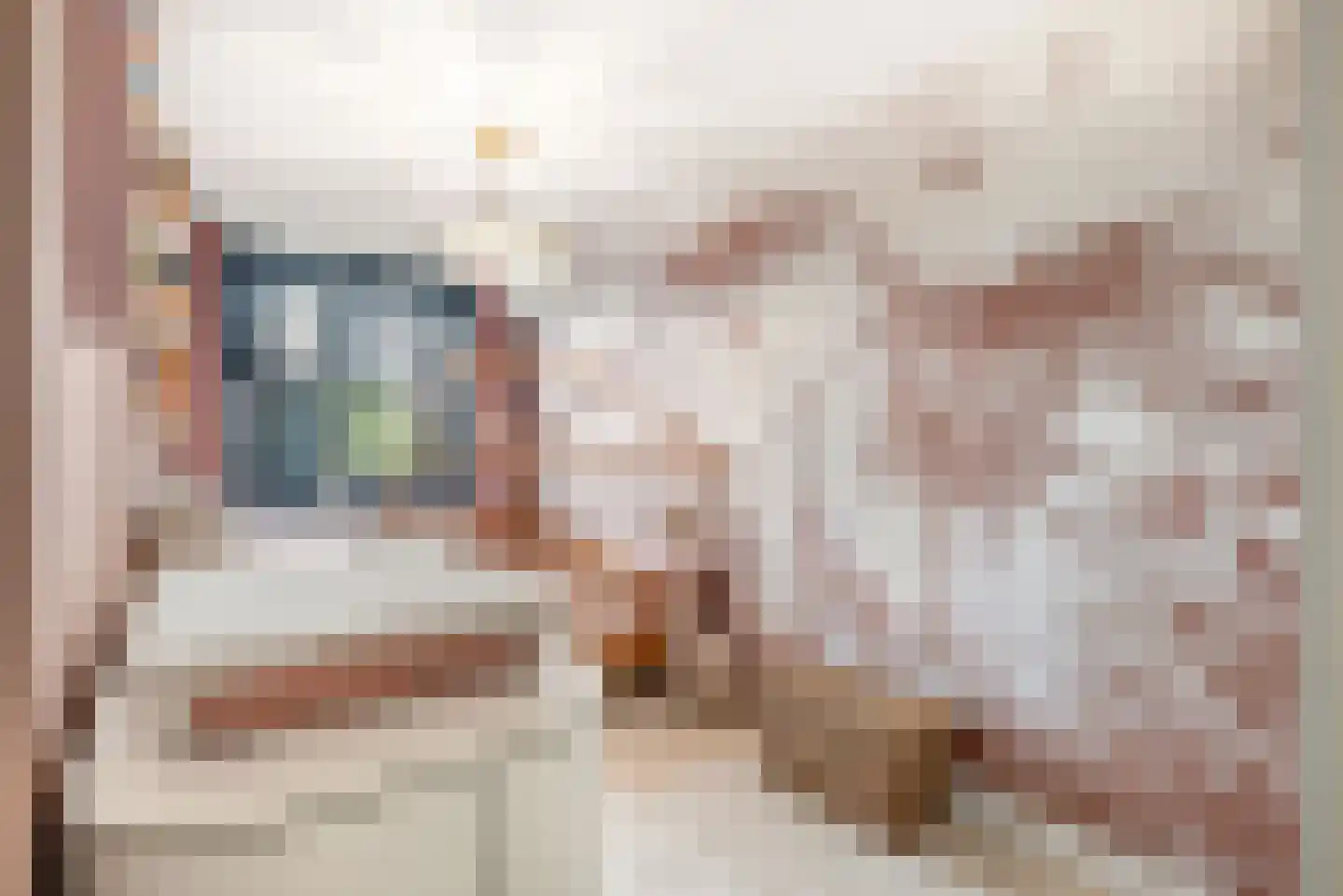 De Zeiler 136 Velserbroek thumbnail 39