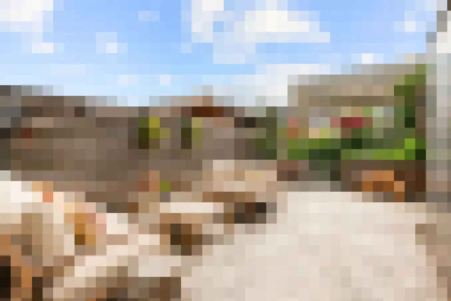 De Zeiler 136 Velserbroek thumbnail 4