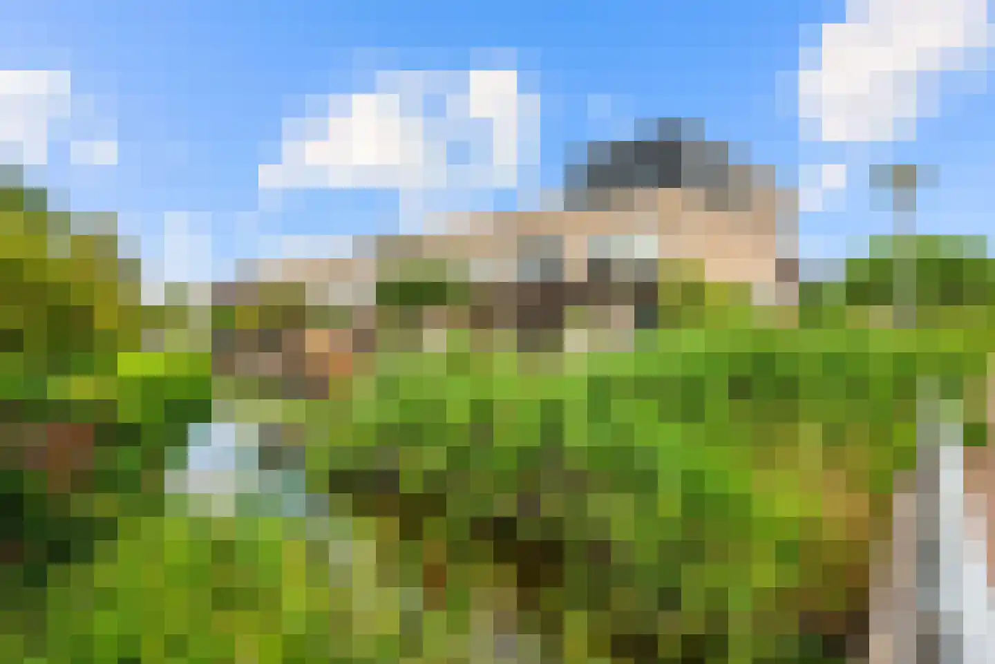 De Zeiler 136 Velserbroek thumbnail 6