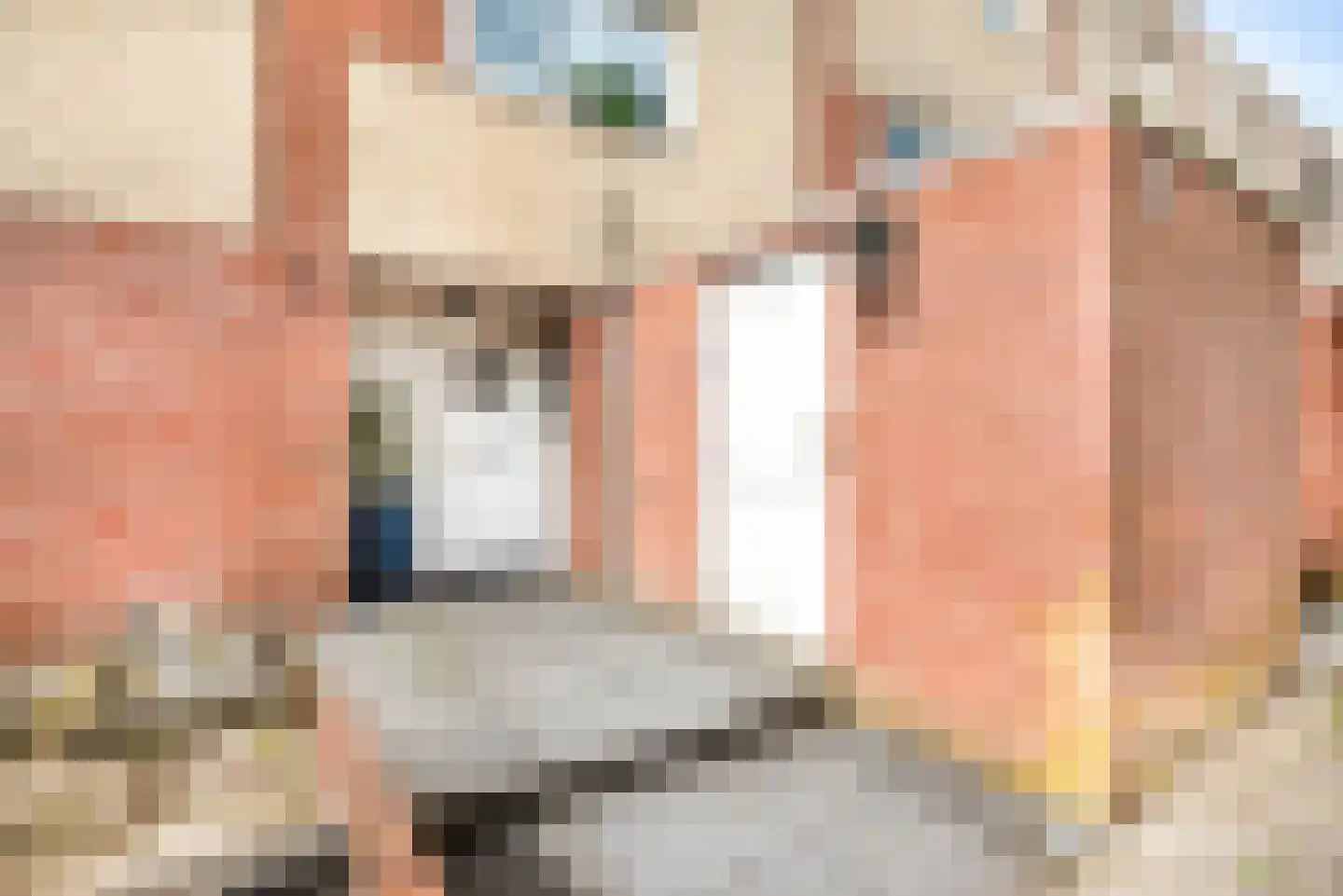 De Zeiler 78 Velserbroek thumbnail 10