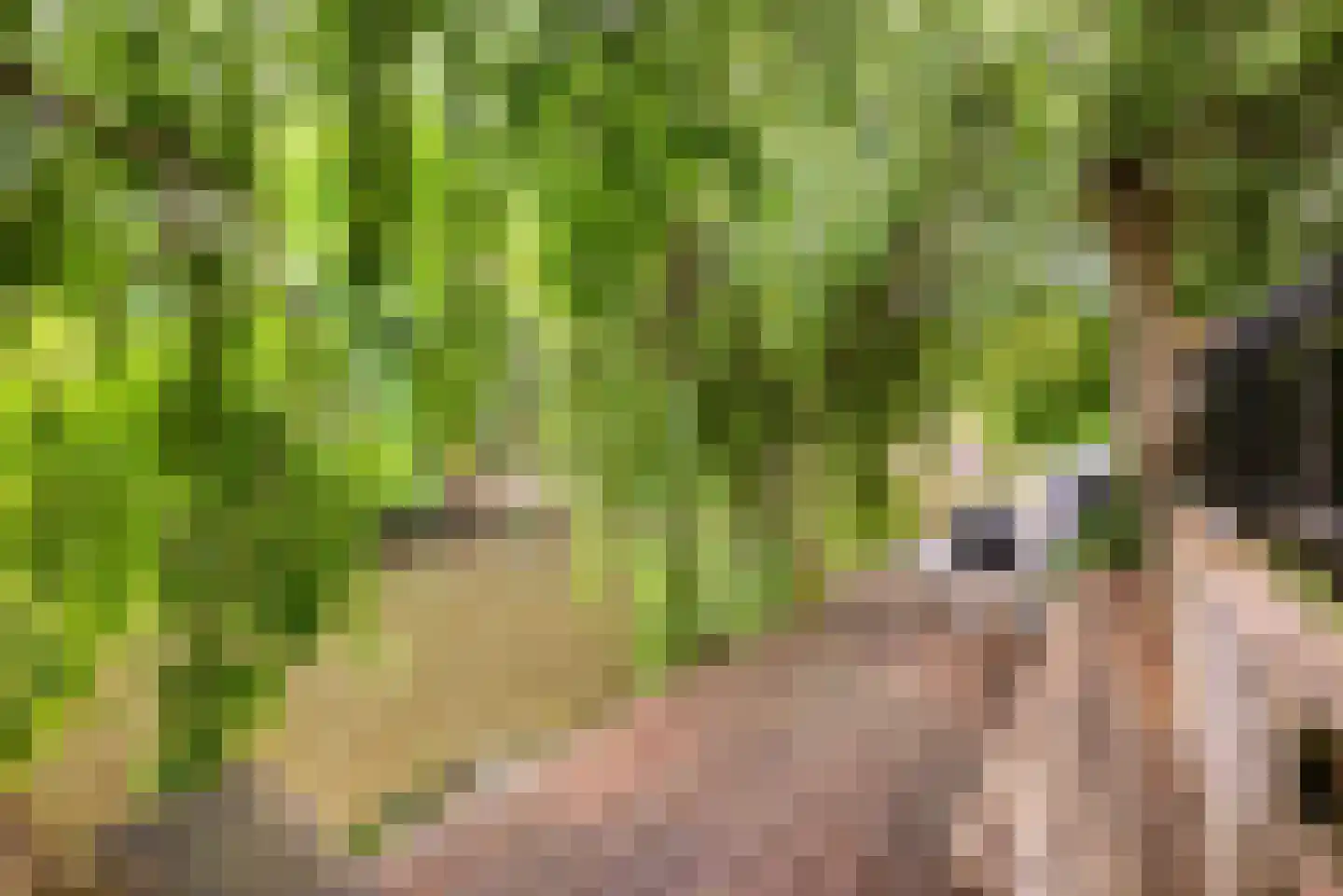 De Zeiler 78 Velserbroek thumbnail 30