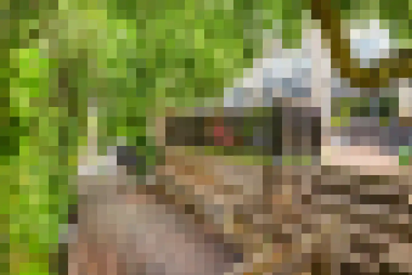 De Zeiler 78 Velserbroek thumbnail 32