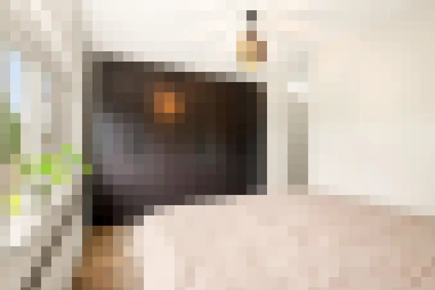 De Zeiler 78 Velserbroek thumbnail 39