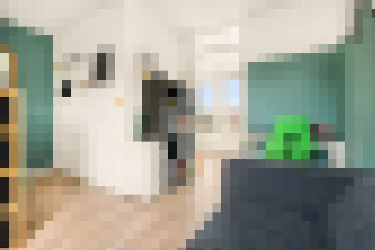 De Zeiler 78 Velserbroek thumbnail 54