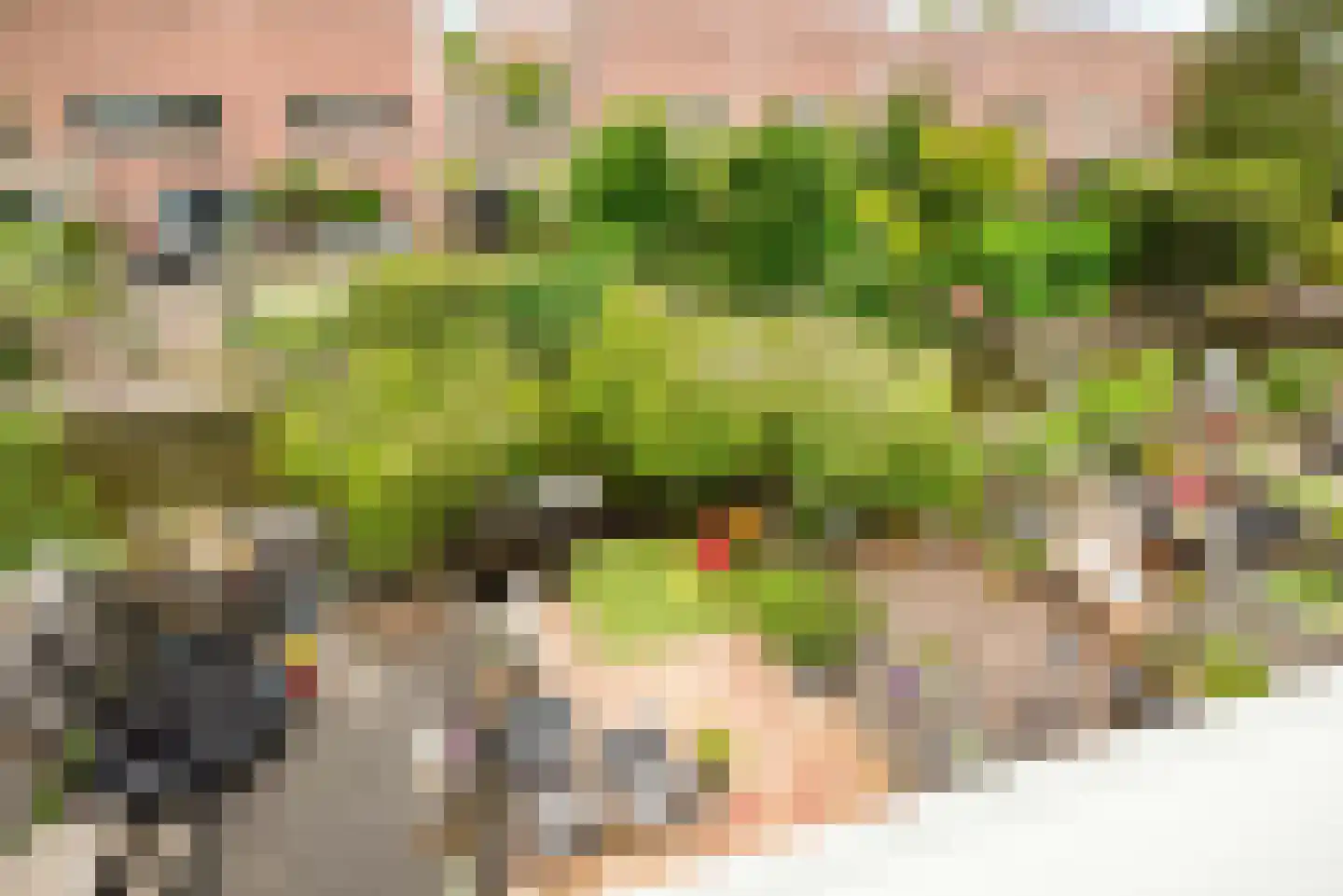 De Zeiler 78 Velserbroek thumbnail 59