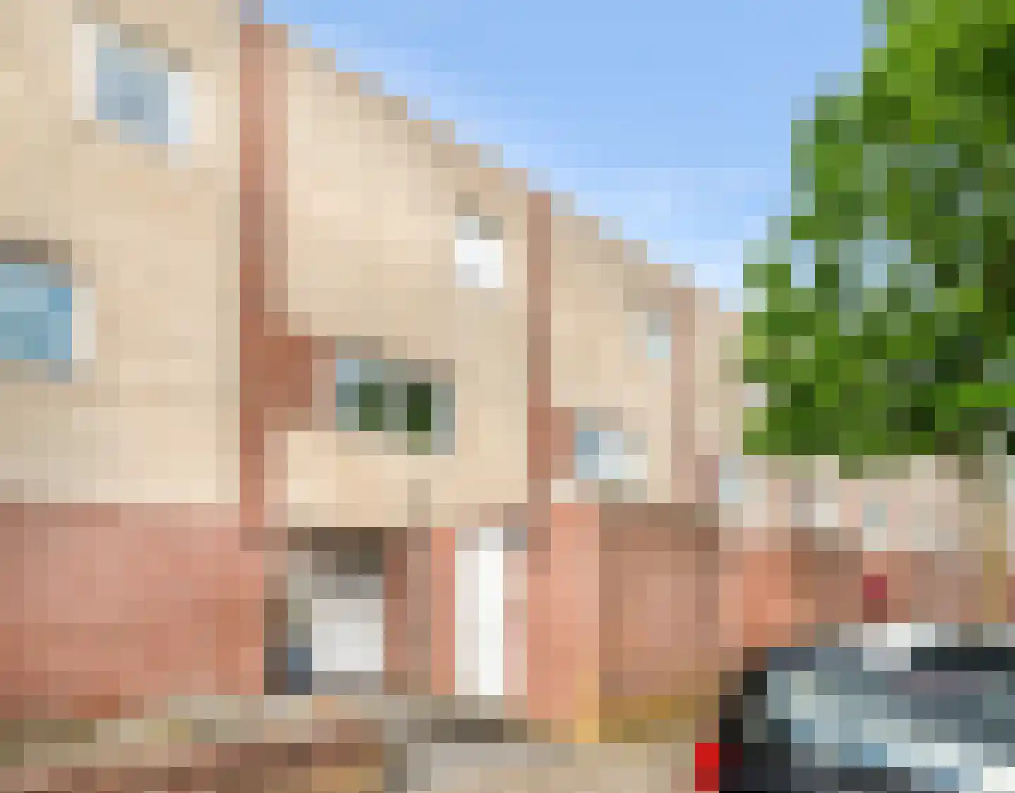 De Zeiler 78 Velserbroek thumbnail 9