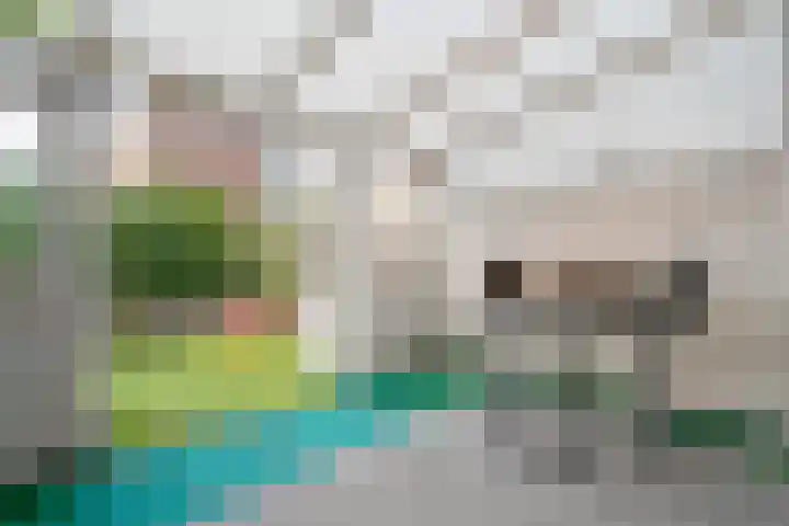 De Zeiler 94 Velserbroek thumbnail 11