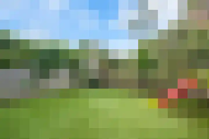 De Zeiler 94 Velserbroek thumbnail 13