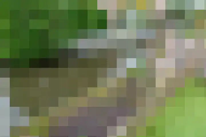 De Zeiler 94 Velserbroek thumbnail 14