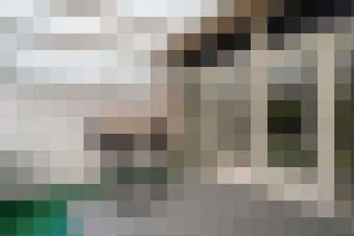 De Zeiler 94 Velserbroek thumbnail 16