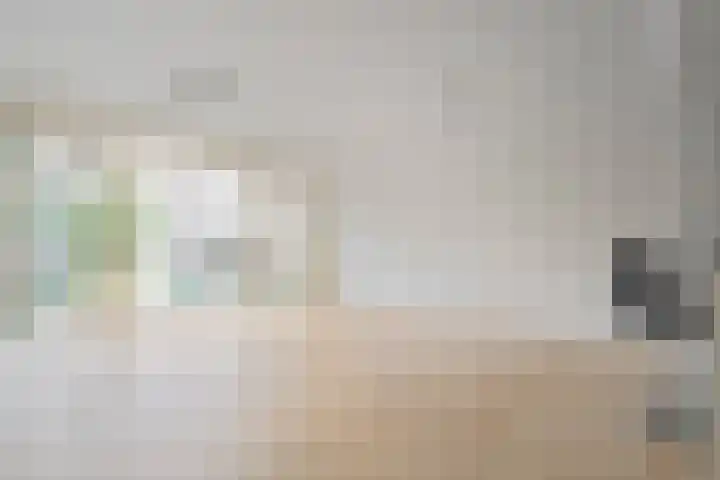 De Zeiler 94 Velserbroek thumbnail 17