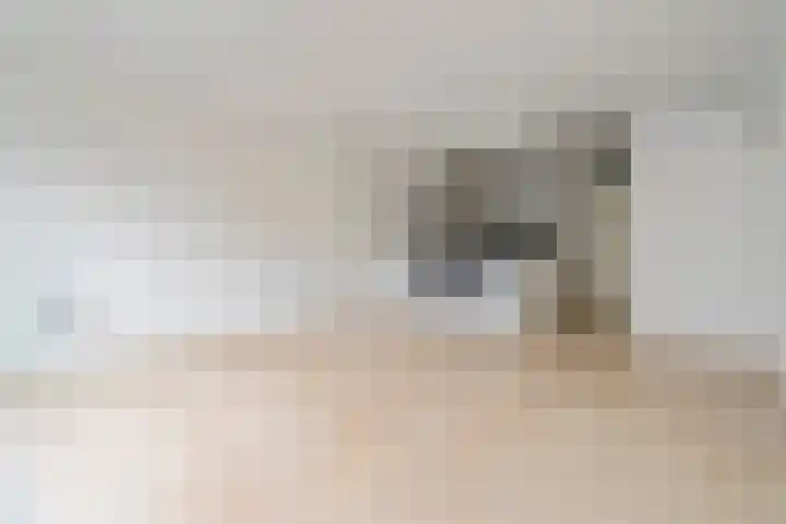 De Zeiler 94 Velserbroek thumbnail 18