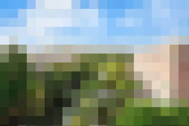 De Zeiler 94 Velserbroek thumbnail 40