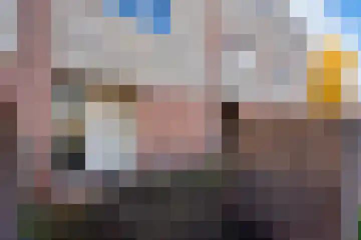 De Zeiler 94 Velserbroek thumbnail 6