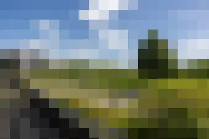 De Zeilmakerij 14 Leusden thumbnail 14