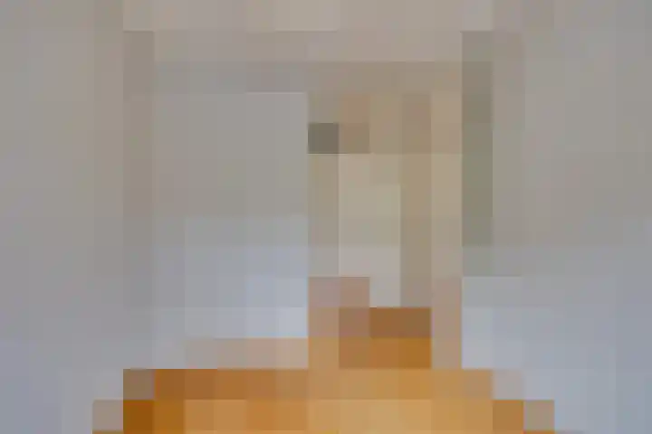 De Zeilmakerij 16 Leusden thumbnail 13