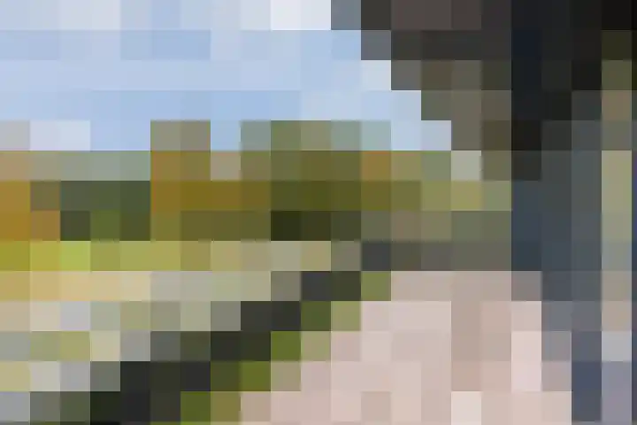 De Zeilmakerij 16 Leusden thumbnail 18