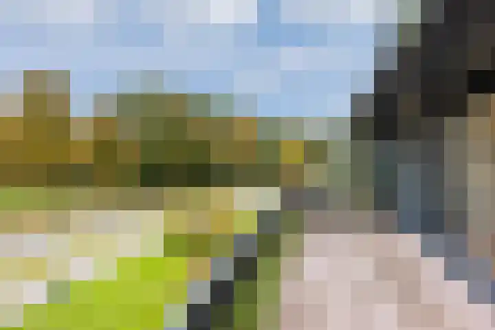 De Zeilmakerij 16 Leusden thumbnail 19