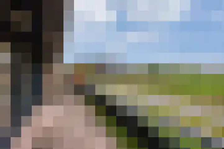 De Zeilmakerij 16 Leusden thumbnail 20