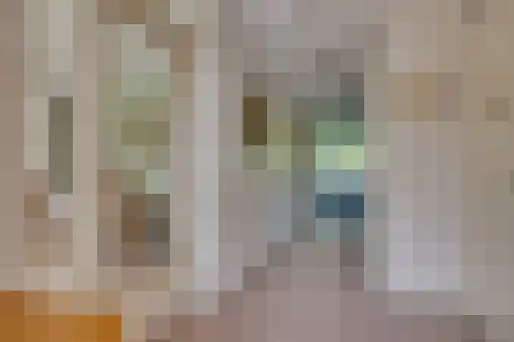 De Zeilmakerij 18 Leusden thumbnail 11
