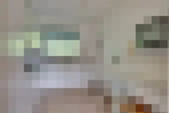 De Zeilmakerij 18 Leusden thumbnail 12