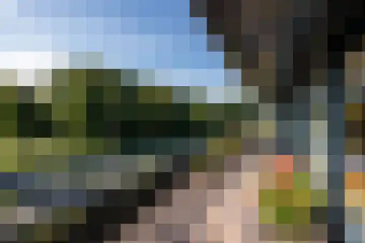 De Zeilmakerij 18 Leusden thumbnail 23