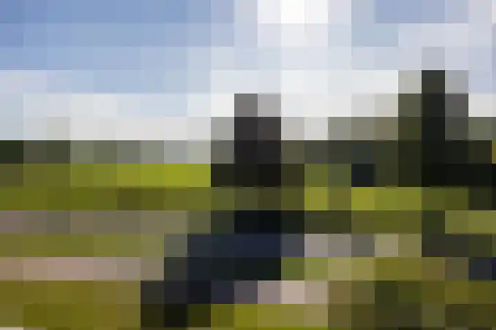 De Zeilmakerij 18 Leusden thumbnail 24