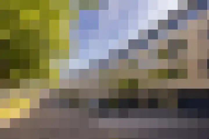 De Zeilmakerij 18 Leusden thumbnail 25