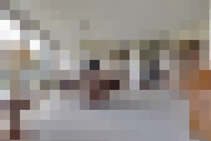 De Zeilmakerij 21 Leusden thumbnail 11