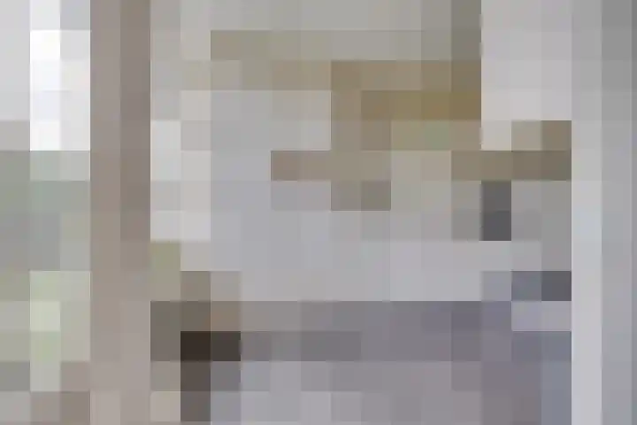 De Zeilmakerij 21 Leusden thumbnail 12