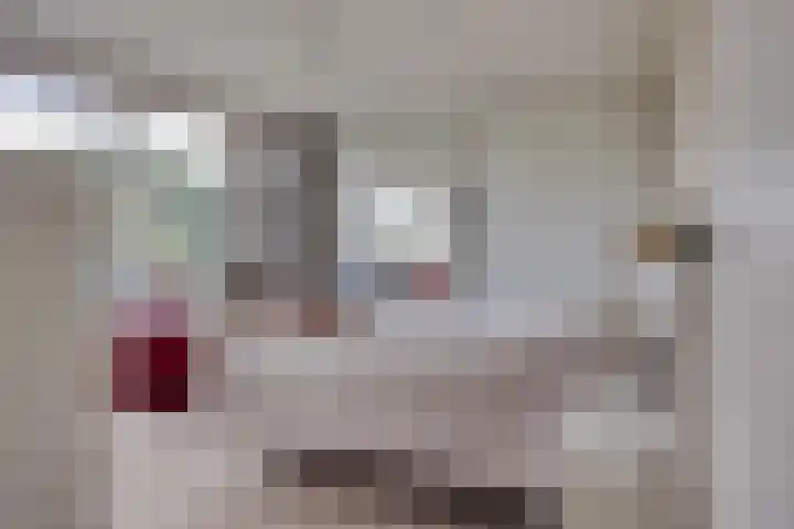 De Zeilmakerij 21 Leusden thumbnail 14