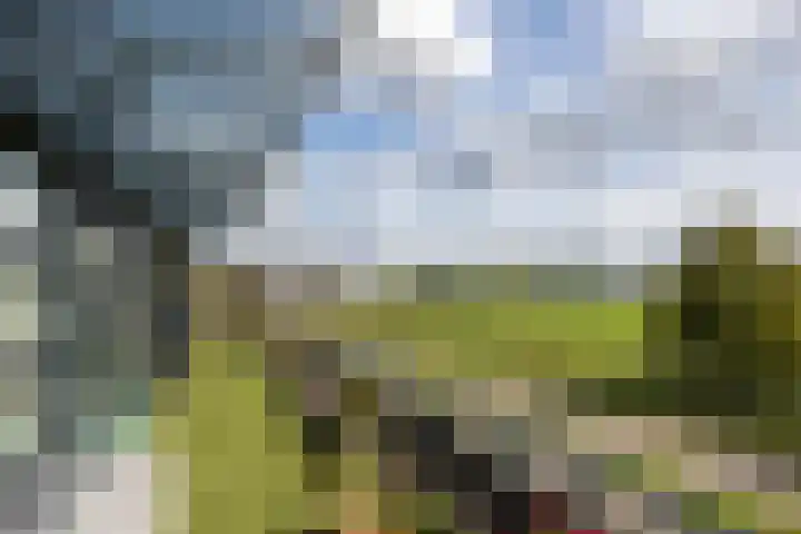De Zeilmakerij 21 Leusden thumbnail 21