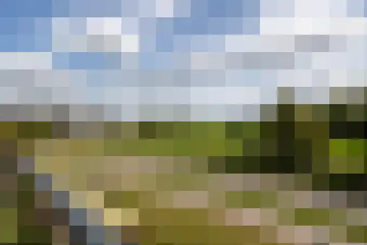 De Zeilmakerij 21 Leusden thumbnail 22