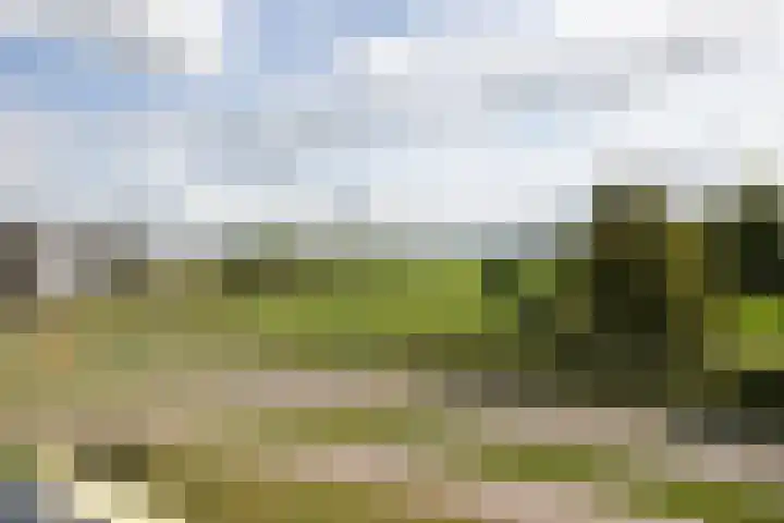 De Zeilmakerij 21 Leusden thumbnail 25
