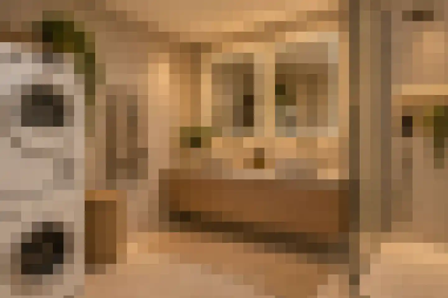 De Zeilmakerij 36 Leusden thumbnail 22