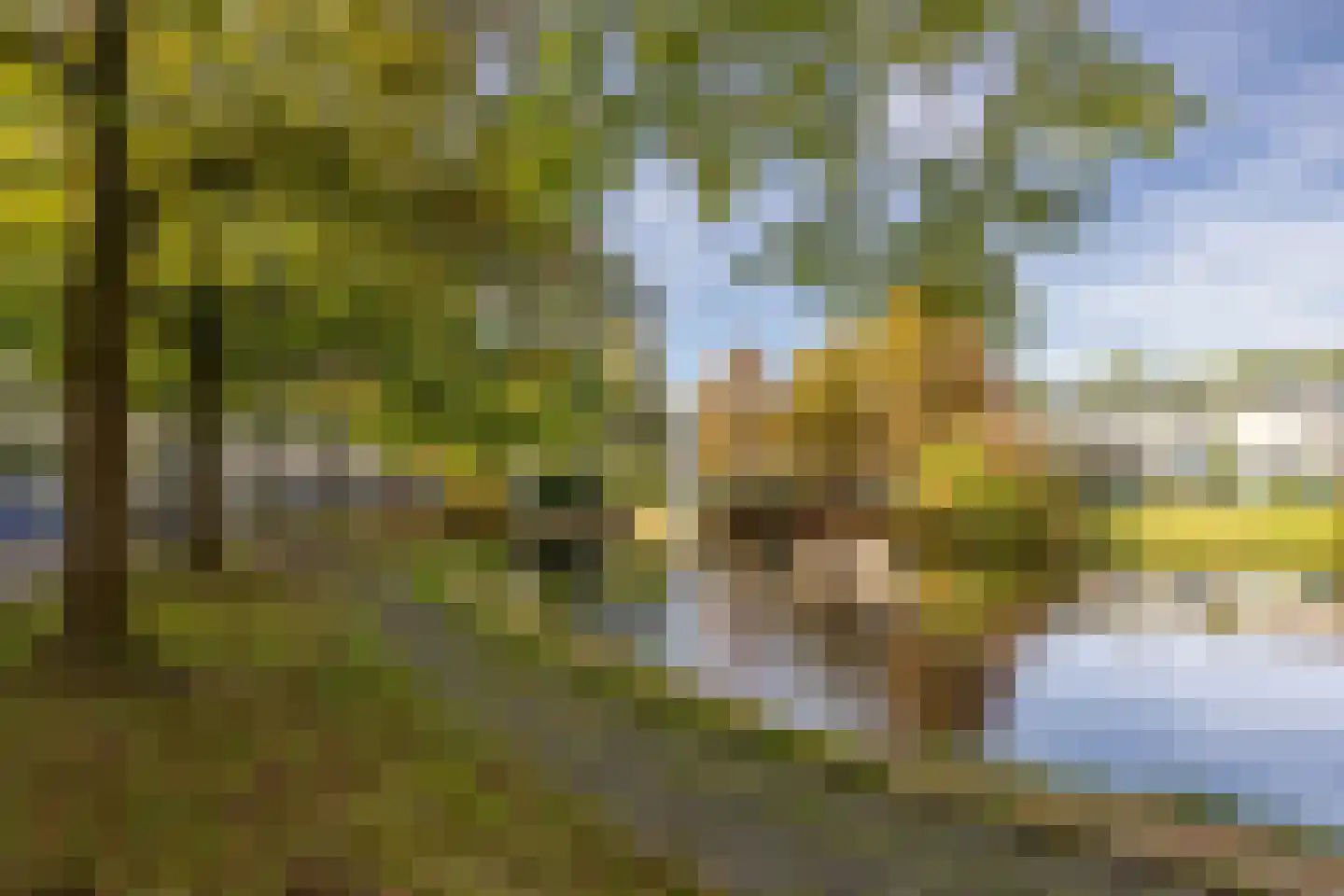 De Zeilmakerij 36 Leusden thumbnail 31