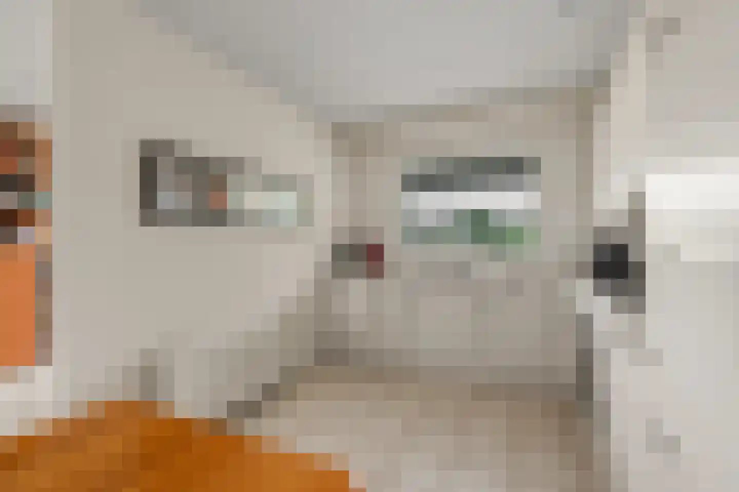 De Zeilmakerij 50 Leusden thumbnail 14