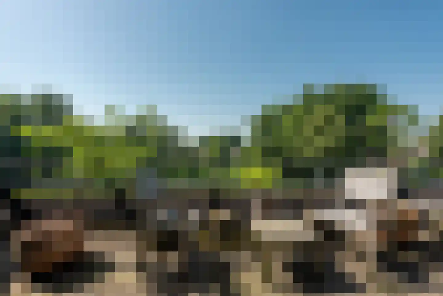 De Zeilmakerij 50 Leusden thumbnail 21