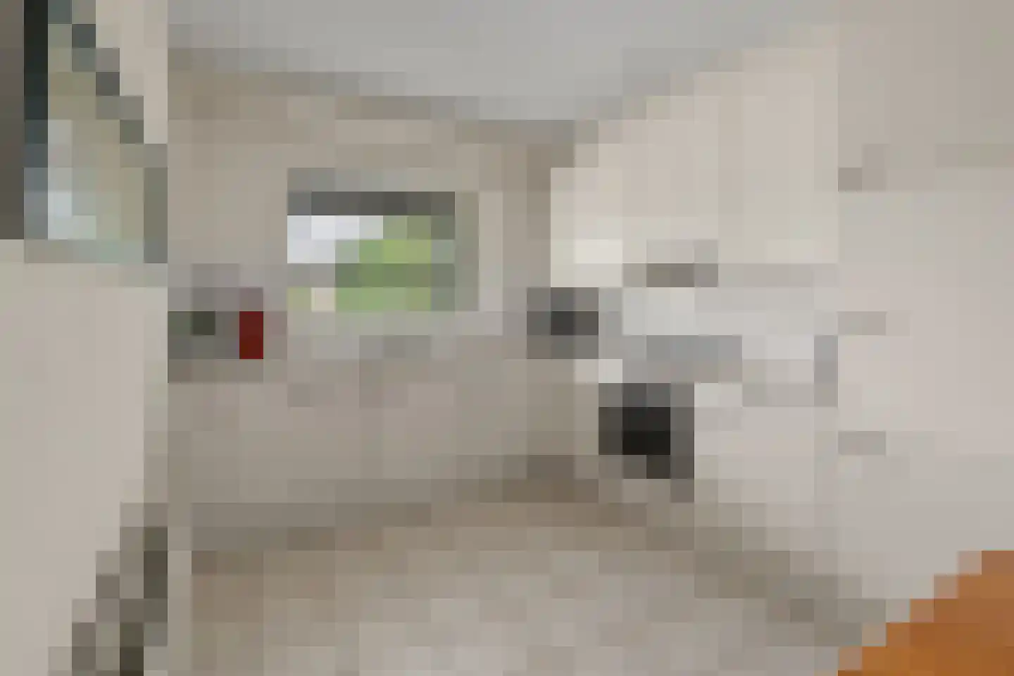 De Zeilmakerij 50 Leusden foto 3