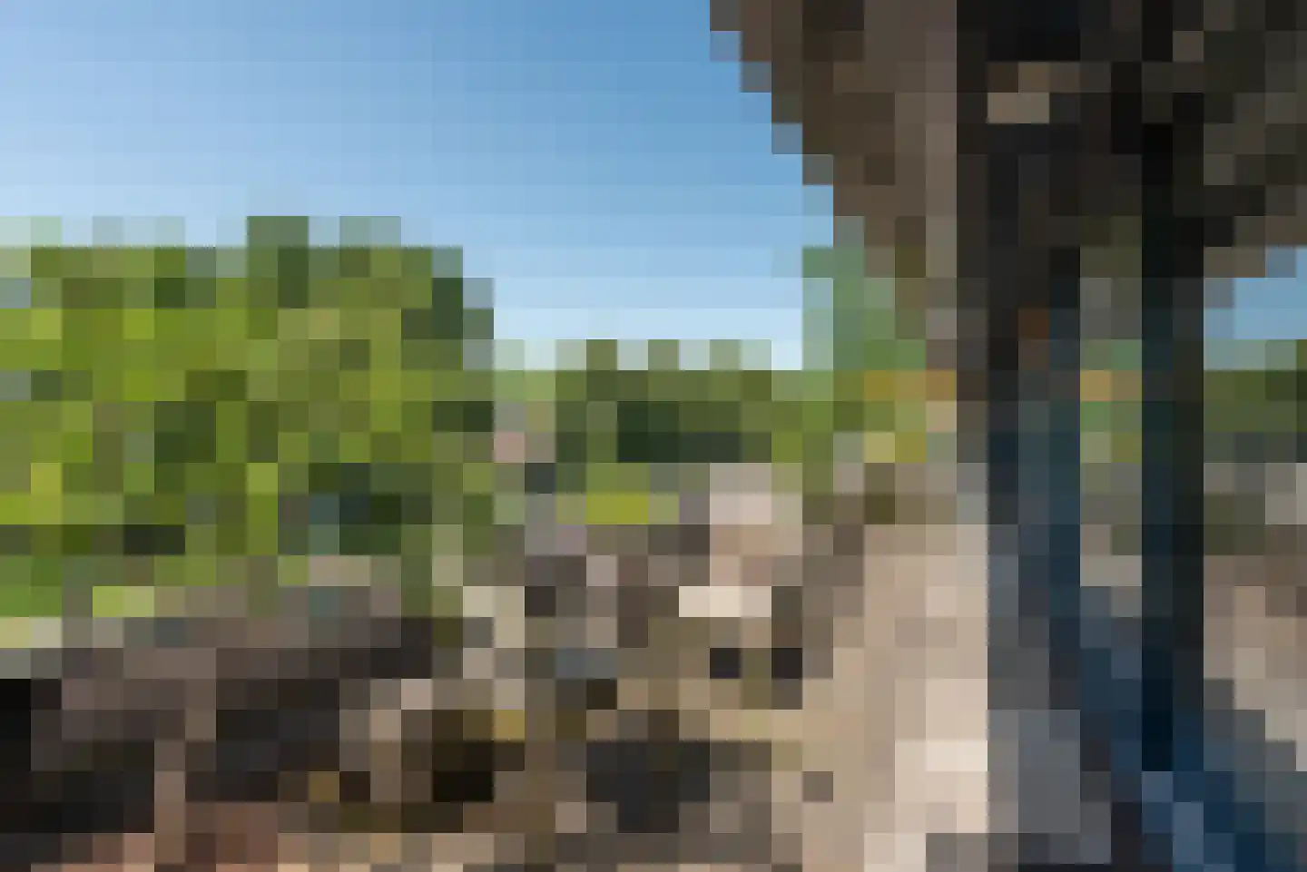 De Zeilmakerij 50 Leusden thumbnail 4
