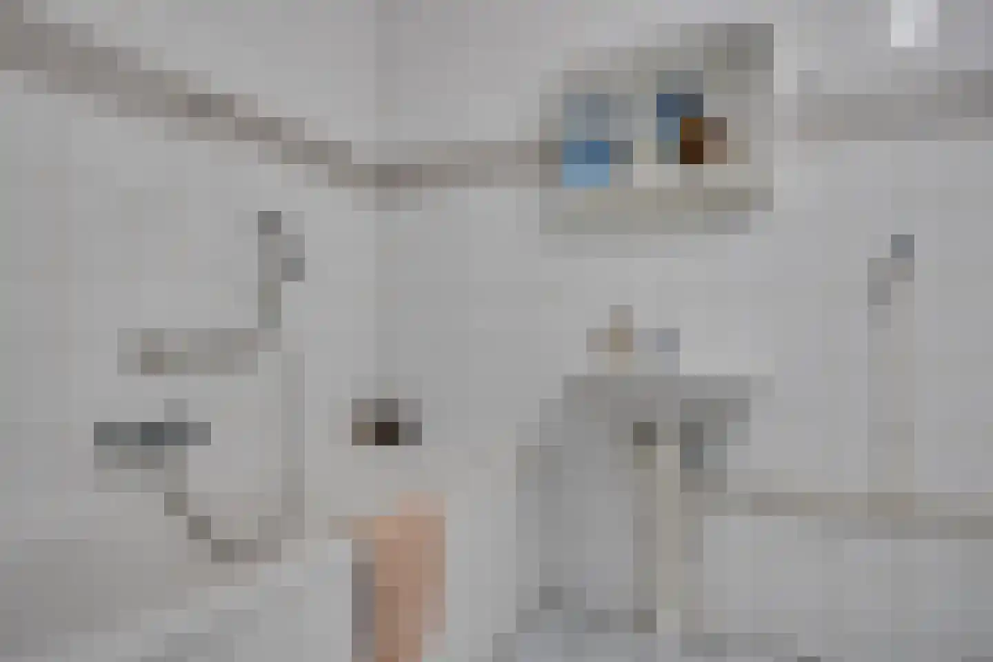 De Zeilmakerij 71 Leusden thumbnail 23