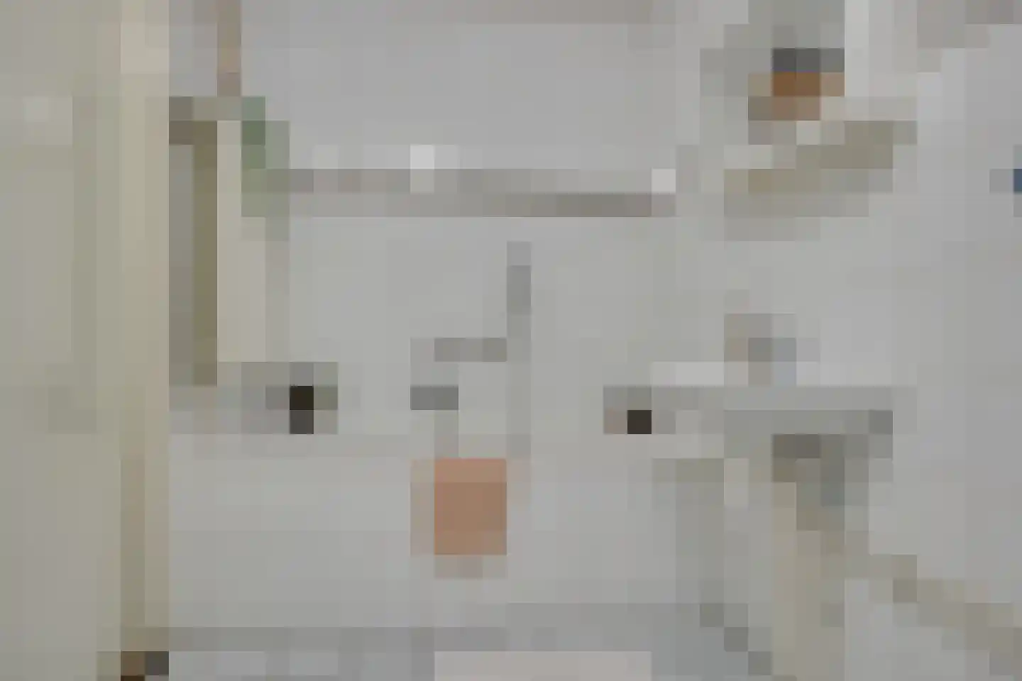 De Zeilmakerij 71 Leusden thumbnail 24