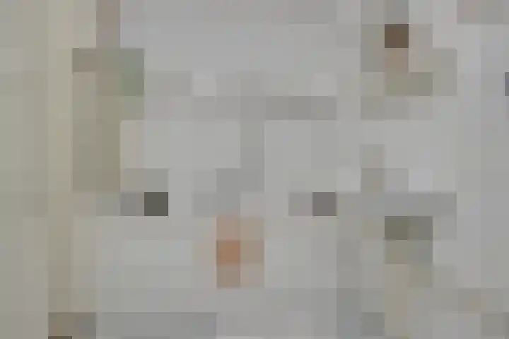 De Zeilmakerij 71 Leusden thumbnail 24