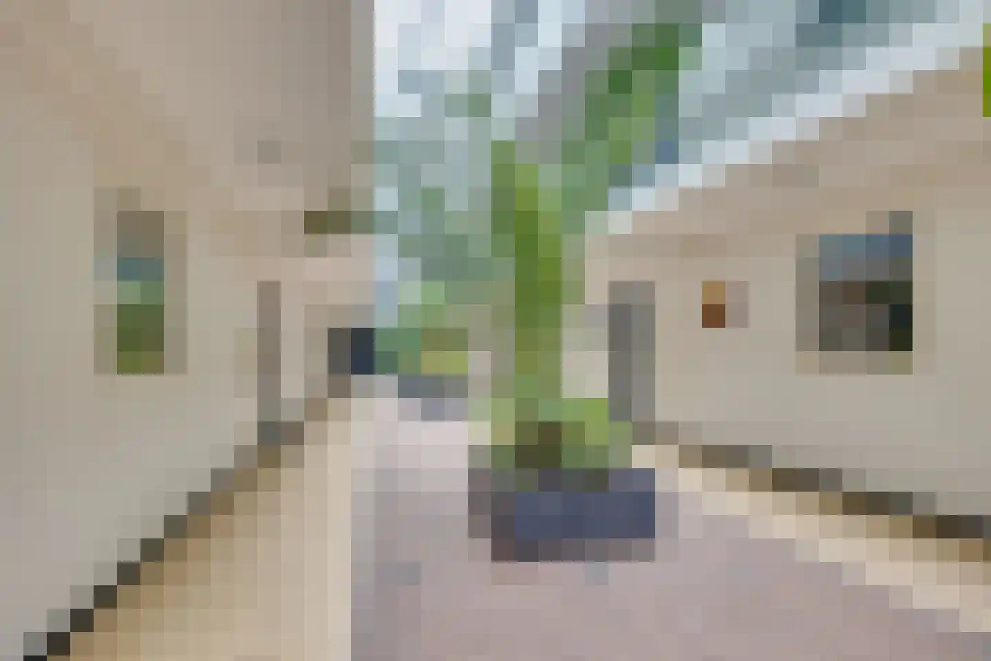 De Zeilmakerij 71 Leusden thumbnail 4