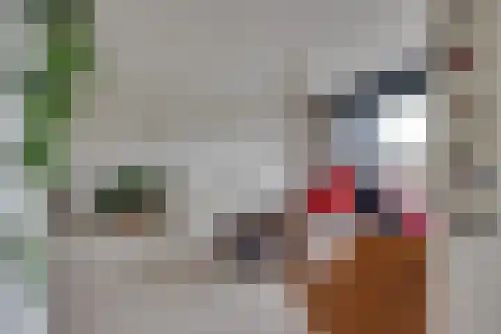 De Zeilmakerij 8 Leusden thumbnail 16