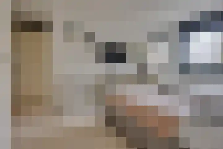 De Zeilmakerij 8 Leusden thumbnail 22