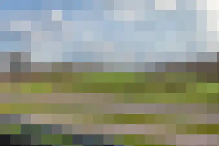 De Zeilmakerij 8 Leusden thumbnail 25