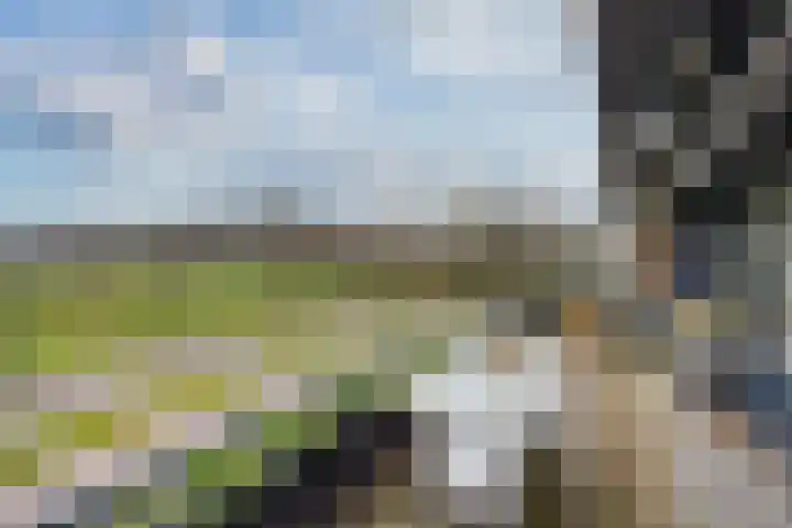 De Zeilmakerij 8 Leusden thumbnail 26