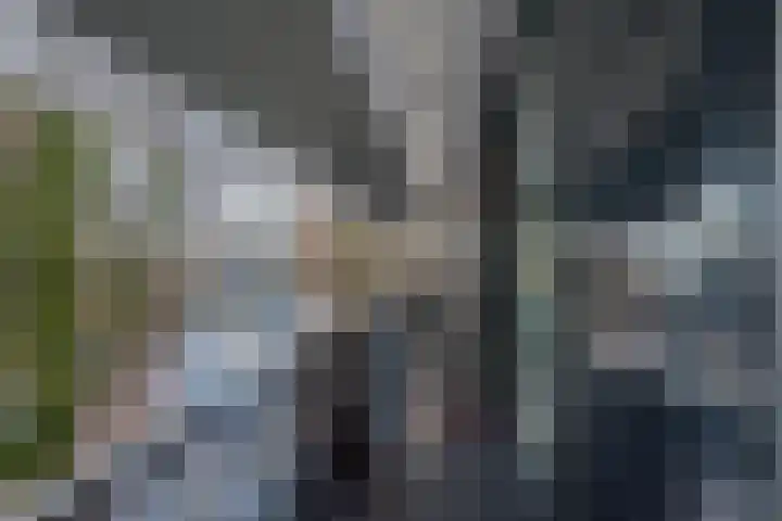 De Zeilmakerij 8 Leusden thumbnail 5