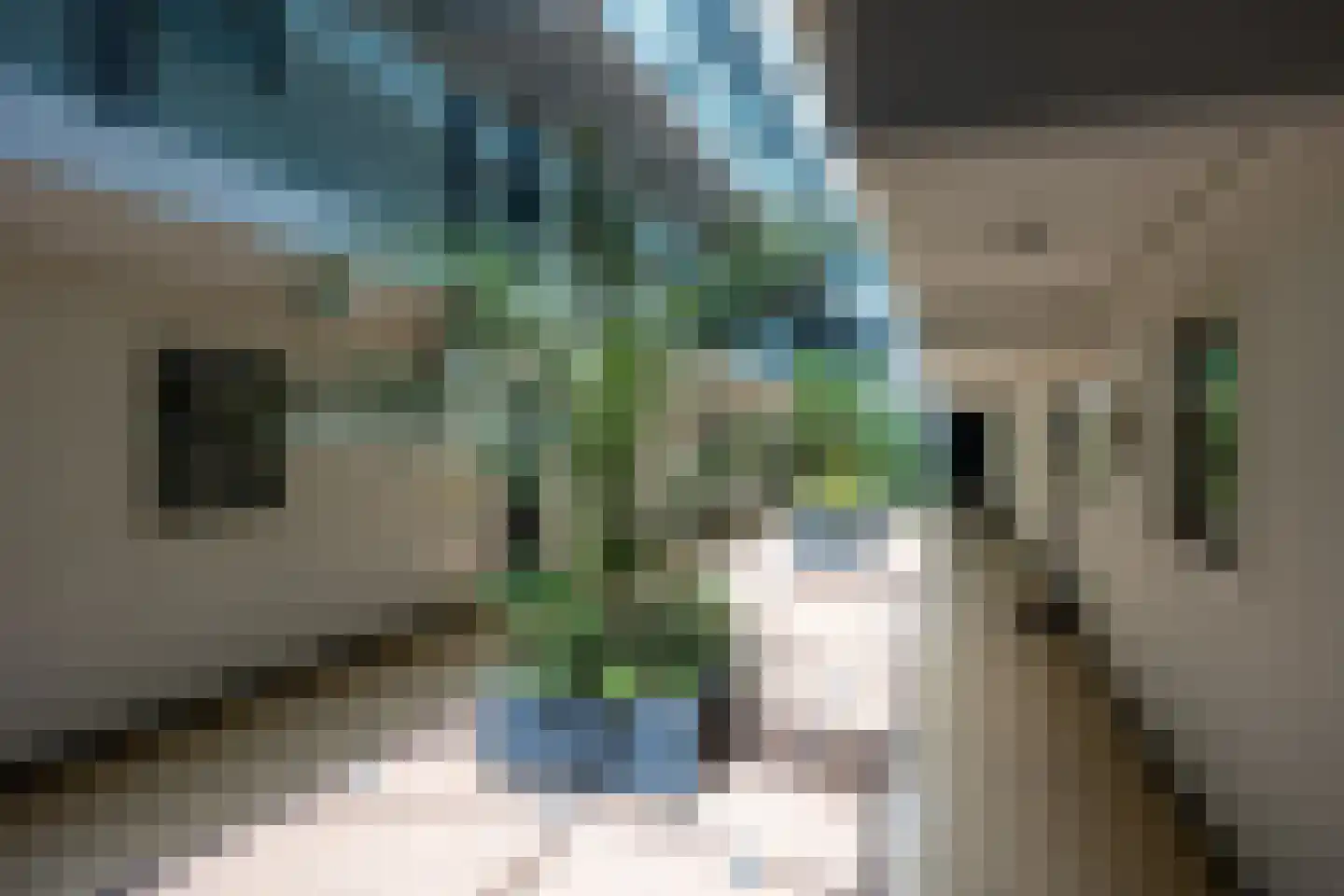 De Zeilmakerij 82 Leusden thumbnail 21